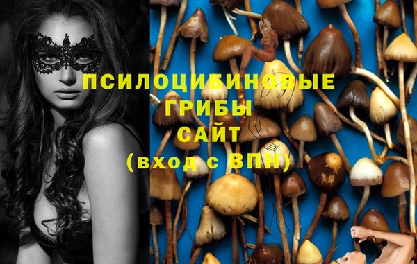 дурь Гусь-Хрустальный
