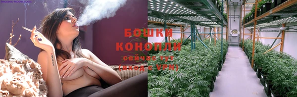 соль ск Гусев