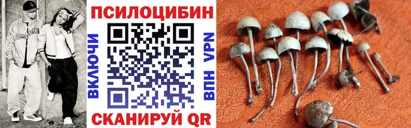 Галлюциногенные грибы Psilocybine cubensis  сайты даркнета как зайти  Дзержинск 