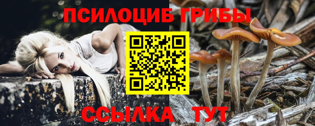 Псилоцибиновые грибы мухоморы  Дзержинск 