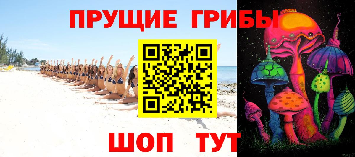 Галлюциногенные грибы Psilocybe Дзержинск