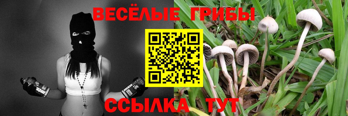 Псилоцибиновые грибы ЛСД  Галлюциногенные грибы Psilocybine cubensis  Дзержинск  Вход с VPN 