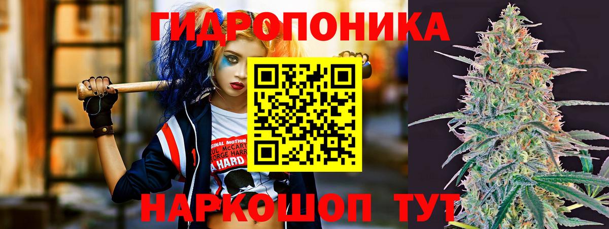 Бошки марихуана планчик  Дзержинск  Канабис Ganja  МАРИХУАНА план 