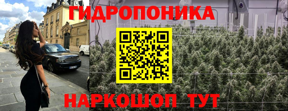 Каннабис White Widow Дзержинск
